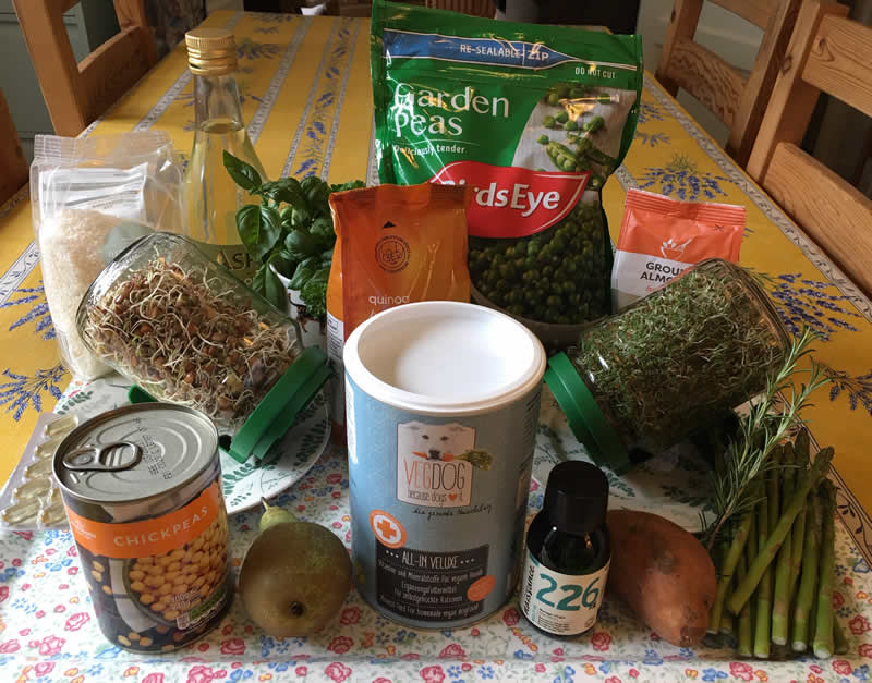 Ingredients for plant-based dog food supersprouts homemade recipe made of sprouted lentils and alfalfa sprouts