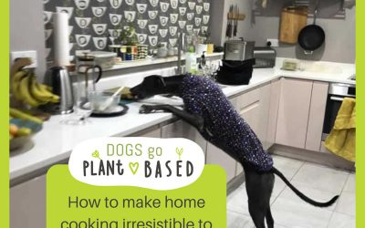How to make homecooking irresistible to your dog