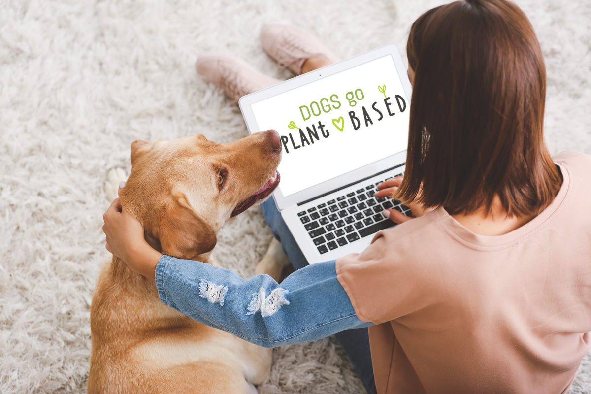 Photo inspiration: Visual Reference: Plant Based Dog Nutrition